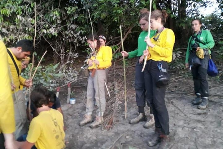 4-Day Green Wild Amazon Expedition from Iquitos: Jungle Lodge, Boat Rides & Hikes photo 2