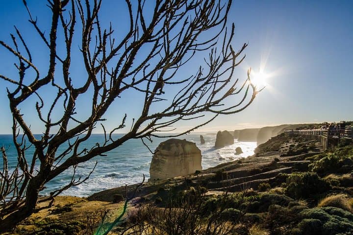 3-Day Melbourne to Adelaide: Great Ocean Road & Grampians Small-Group Tour photo 6