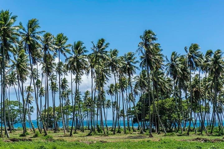 Private Tahiti Circle Island Tour: Waterfalls, Black Sand Beaches & Cultural Sights photo 4