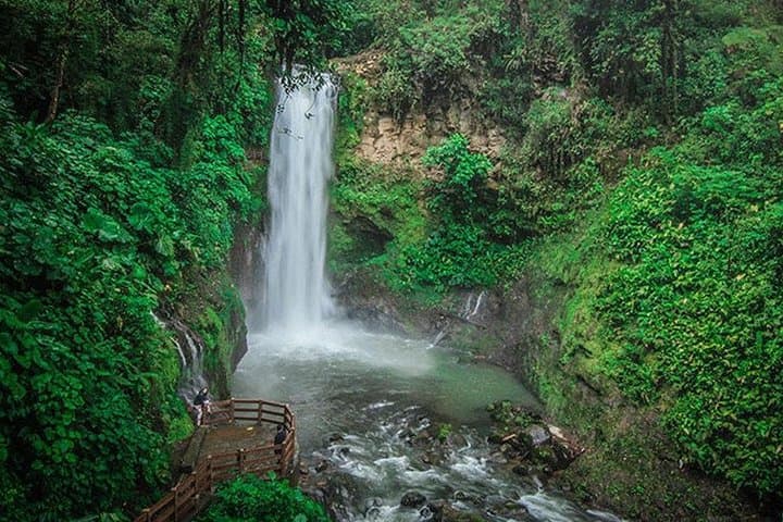 La Paz Waterfall Gardens Private Tour: San José Day Trip to Waterfalls & Wildlife