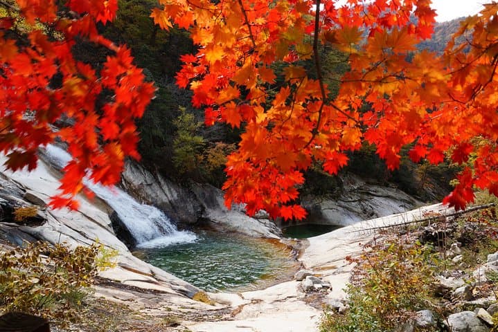 Summit Seoraksan’s Daecheongbong: 1-Day Peak Hike From Seoul photo 5