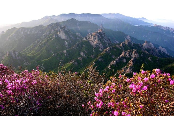 Summit Seoraksan’s Daecheongbong: 1-Day Peak Hike From Seoul photo 6
