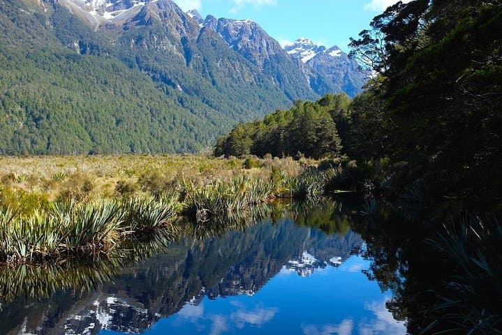 Milford Sound Luxury Small-Group Tour from Queenstown aboard Fiordland Jewel photo 5