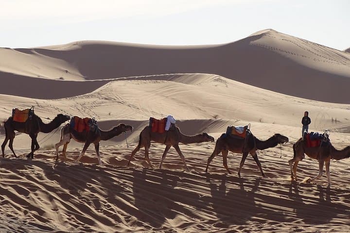3-Day Marrakech to Merzouga Desert Tour: Aït Ben Haddou, Dades & Erg Chebbi photo 3