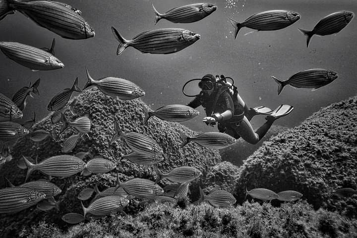 Double Dives in Capo Carbonara Marine Protected Area — Villasimius Sardinia