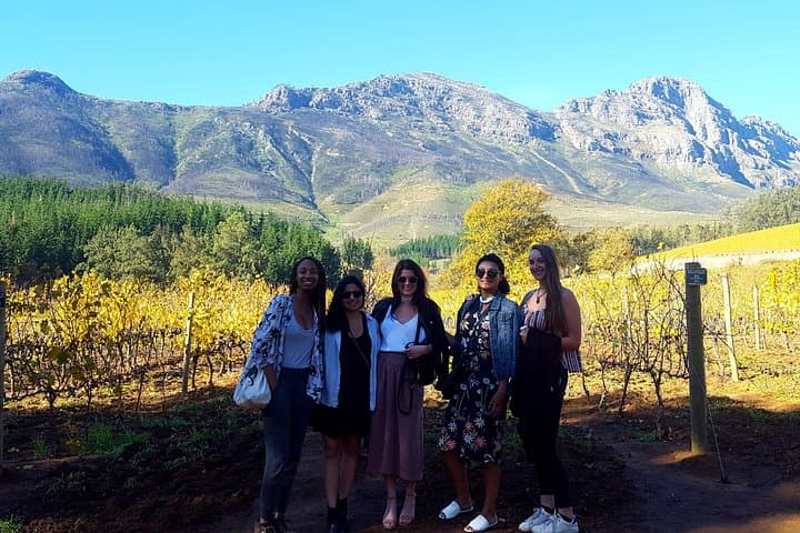 Stellenbosch Vine Hopper Northern Route: Hop-On Hop-Off Wine Tour Guide photo 2