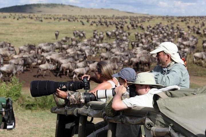 3-Day Maasai Mara Safari — Budget or Luxury Wildlife Package from Nairobi photo 3
