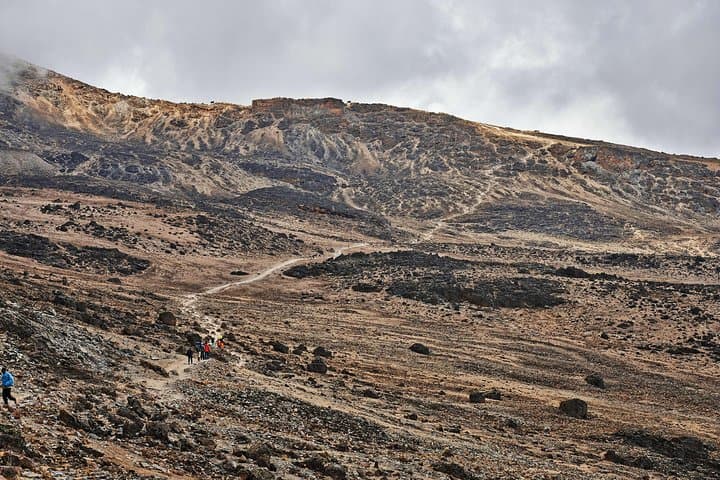 Kilimanjaro Rongai Route: 7-Day Summit Trek to Uhuru Peak photo 2