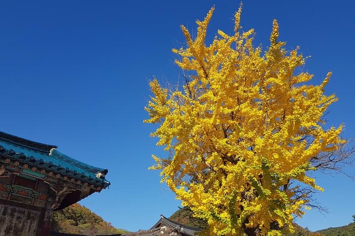 Seoraksan & Nami Island Private Driver Day Trip from Seoul photo 3