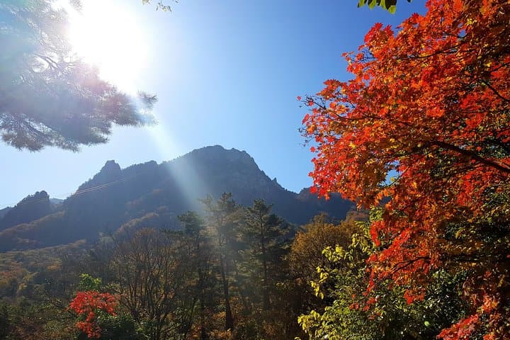 Seoraksan & Nami Island Private Driver Day Trip from Seoul photo 4