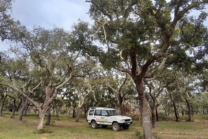 Barrocal Adventure: Half-Day Cork Oak & Village Tour from Albufeira photo 2