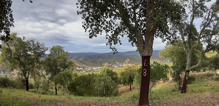 Barrocal Adventure: Half-Day Cork Oak & Village Tour from Albufeira photo 3