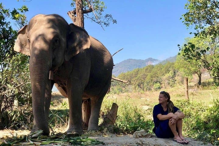 Doi Inthanon Day Tour: Ethical Elephant Sanctuary, Summit Pagodas & Pha Dok Saew Trek photo 2