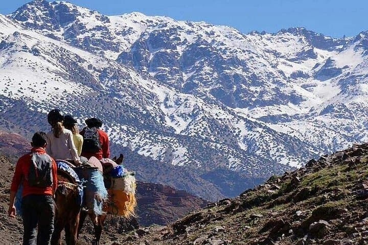 Atlas Mountains & Berber Village Day Trip from Marrakech — Imlil Walks, Waterfalls & Tagine Lunch photo 3