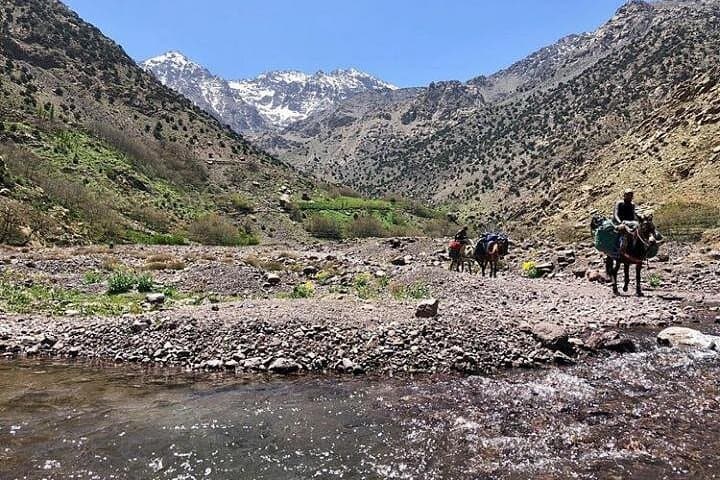 Atlas Mountains & Berber Village Day Trip from Marrakech — Imlil Walks, Waterfalls & Tagine Lunch photo 4