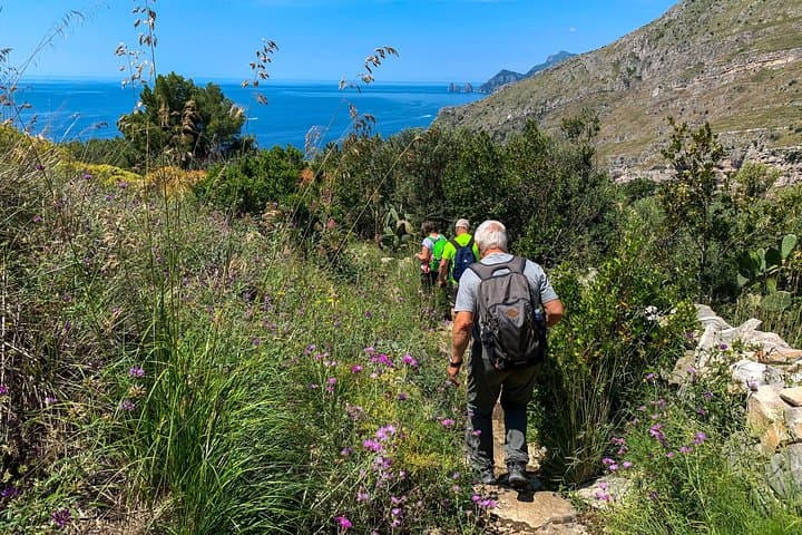 Jeranto Bay Private Walking Tour — Sorrento Coastal Walk to Capri Views photo 4