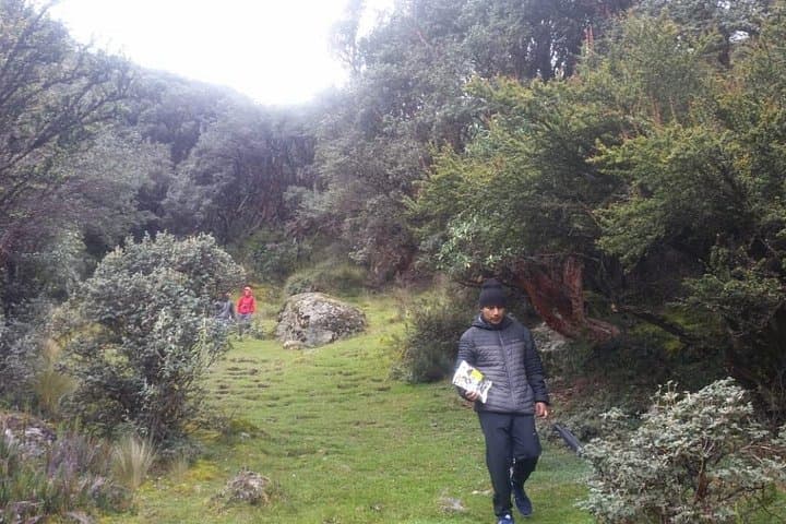 Cajas National Park Day Tour from Cuenca — Tres Cruces, Polylepis Forest & Toreadora Lagoon photo 4