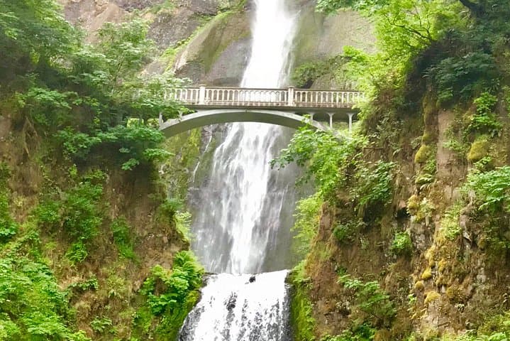 Columbia River Gorge Waterfalls Tour from Portland — Half-Day Small-Group photo 3