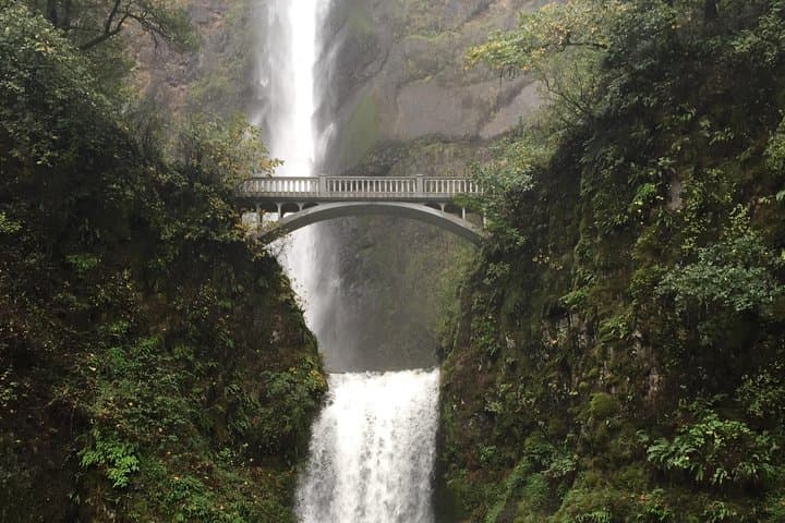Columbia River Gorge Waterfalls Tour from Portland — Half-Day Small-Group photo 4