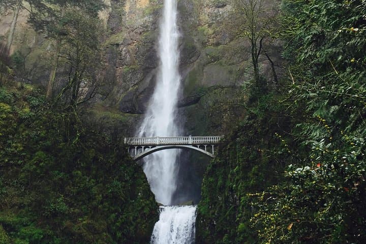 Private Columbia River Gorge Waterfalls Tour from Portland photo 4