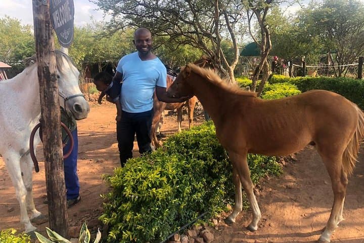 Pony Riding at Notwane Dam: Guided Family Rides Near Gaborone photo 4