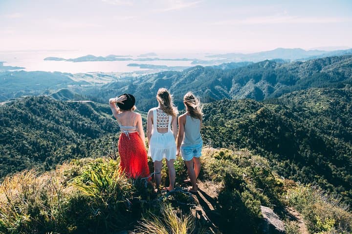 5-Day Coromandel Explorer: Self-Drive Coastal Itinerary from Auckland photo 6