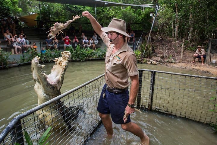 Hartley's Crocodile Adventures Day Trip from Palm Cove — Crocs, Cassowaries & Rainforest Boardwalks photo 2