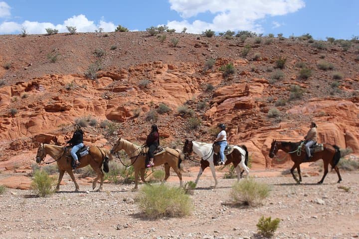 Morning Breakfast Horseback Riding Tour at Rainbow Gardens, Las Vegas photo 2