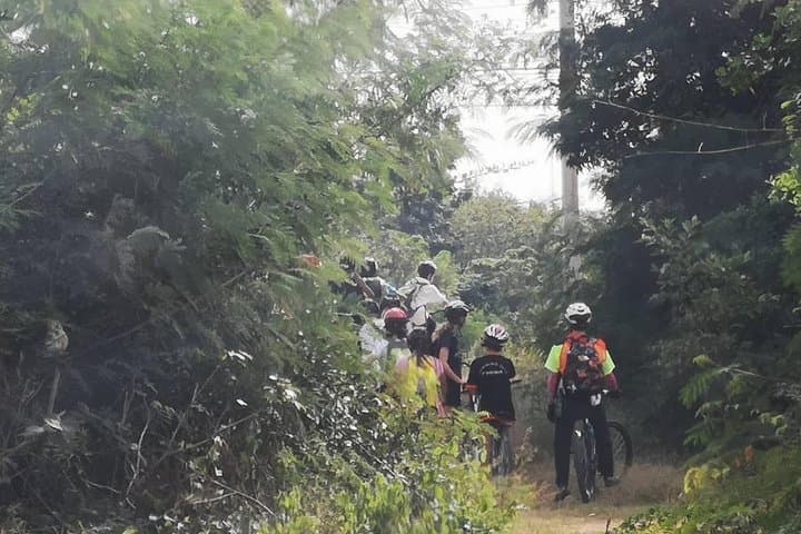 Rural Cycling in Kanchanaburi: 2–3 Hour Ride Through Rice Fields & Birdlife