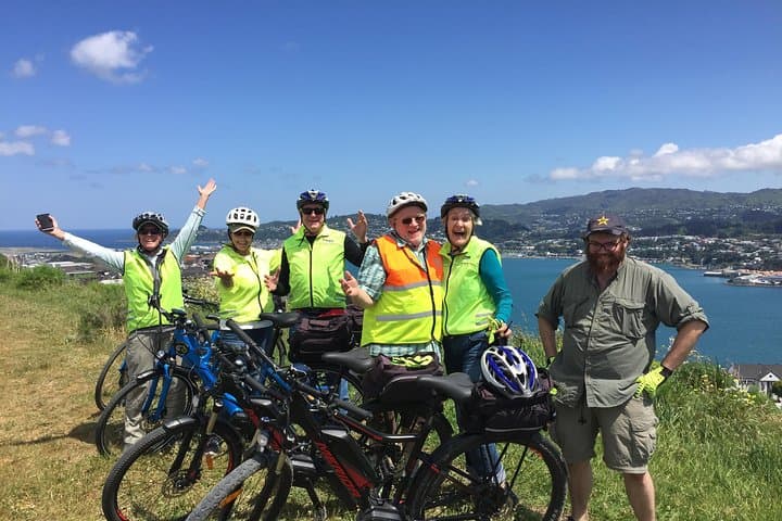 Guided Wellington Electric Bike Tour: Waterfront, Bays & Panoramic Lookouts photo 3
