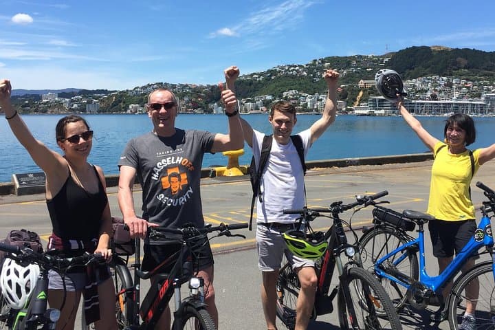 Guided Wellington Electric Bike Tour: Waterfront, Bays & Panoramic Lookouts photo 4