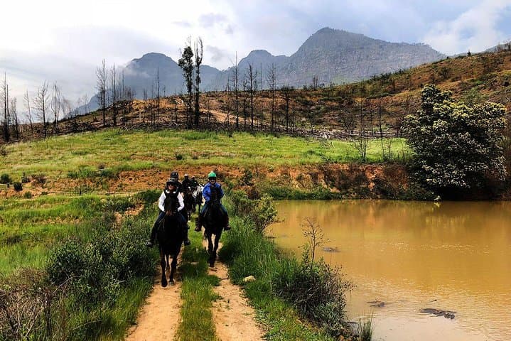 1-Hour Horse Trail at Vrede en Lust — Simonsberg Wine Estate Ride photo 5