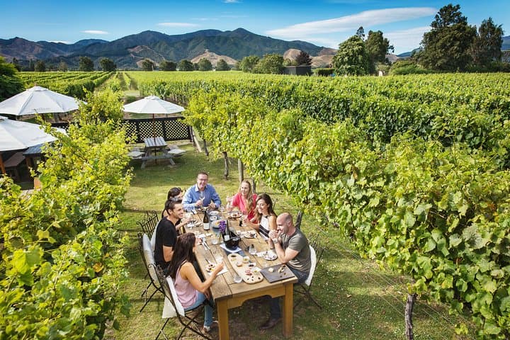 Picton VIP Wine & Scenic Shore Excursion photo 2