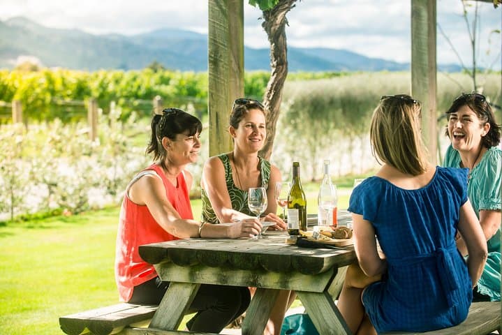 Full-Day Winemakers Tour in Marlborough — Blenheim Wineries, Vineyard Lunch & Chocolate photo 1