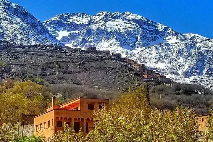 Atlas Mountains day trip to Imlil and waterfalls from Marrakech photo 4