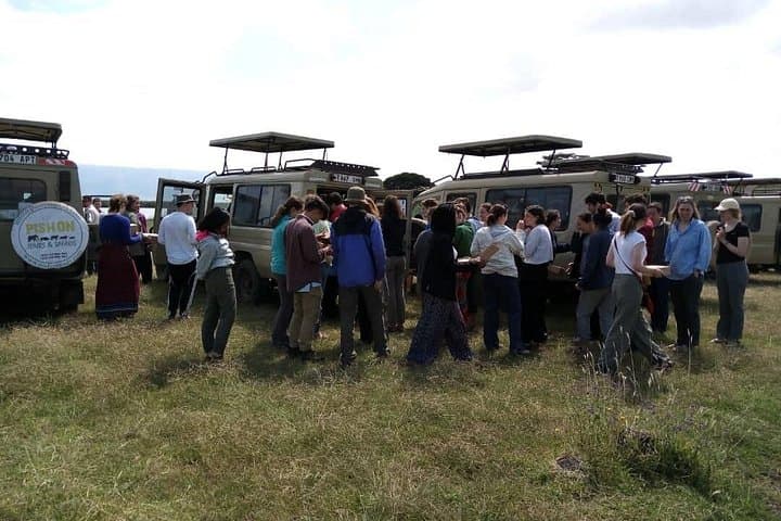 5-Day Wildebeest Migration Safari — Serengeti & Ngorongoro Wildlife Expedition photo 2