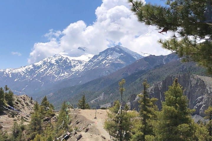 Annapurna Base Camp Trek: Classic Himalayan Trek from Pokhara to ABC photo 5