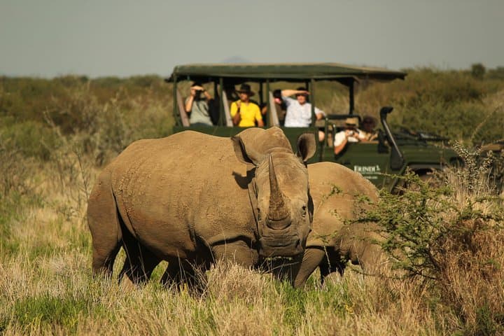 African Adventure Namibia: 10-Day Dunes, Coast & Private Game Reserve photo 5