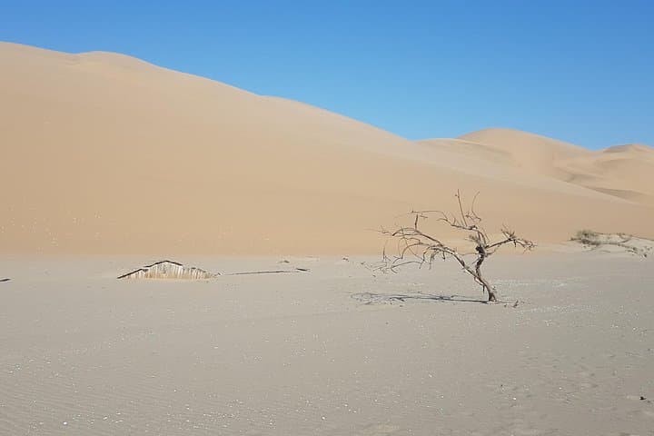 Adventure Silver Safari: 9-Day Namibia Safari, Swakopmund Desert & Coast Experience photo 4