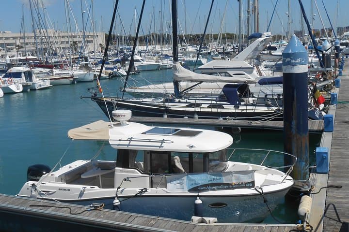 Sail and Fish the Cádiz Bay: Private Boat Trips from Puerto Sherry photo 6