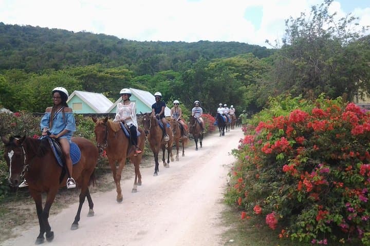 Ocho Rios Horseback Ride and Ocean Swim: 2-Hour Countryside to Beach Experience