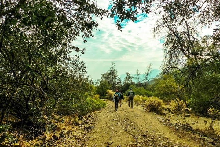Summit Cerro Pintor: Andes Hike 12k Private Day Trip from Santiago photo 3