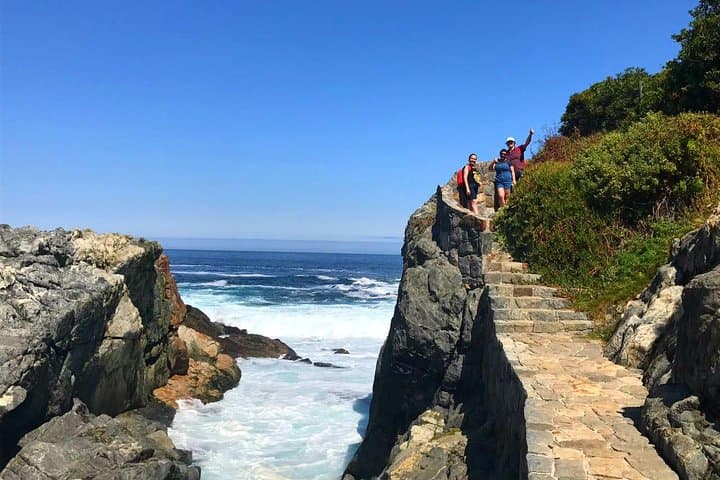 Cachagua to Zapallar: Pacific Coast 7K Hike Day Tour from Santiago photo 2