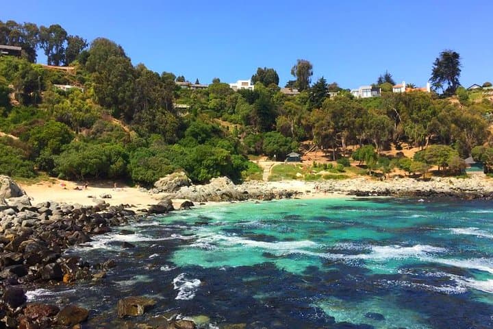 Cachagua to Zapallar: Pacific Coast 7K Hike Day Tour from Santiago photo 3