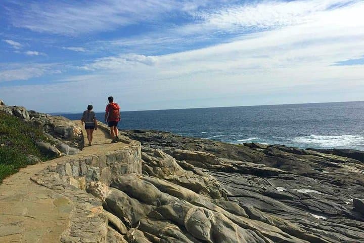 Cachagua to Zapallar: Pacific Coast 7K Hike Day Tour from Santiago photo 4
