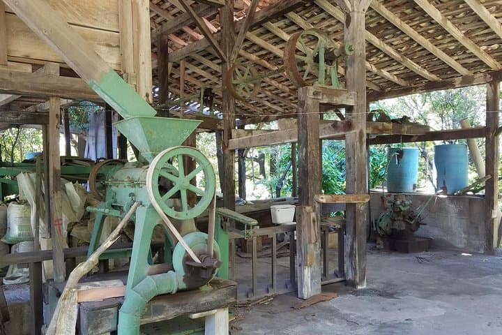 San Cristóbal Coffee Farm Shore Excursion — Volcano Hike & Coffee Tasting from Corinto photo 4