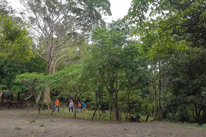 San Cristóbal Coffee Farm Shore Excursion — Volcano Hike & Coffee Tasting from Corinto photo 6