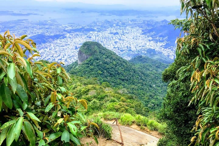 Tijuca Peak Private Hike: Summit Pico da Tijuca in Rio de Janeiro photo 2