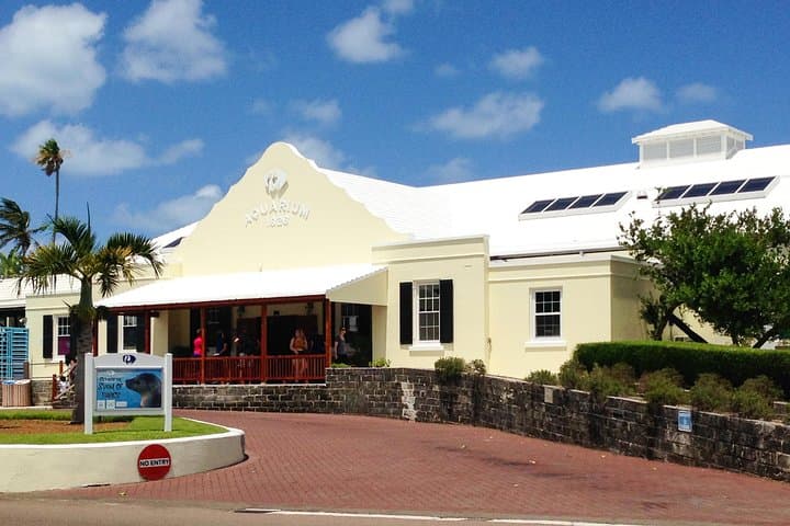 Crystal Caves, Bermuda Aquarium & Hamilton: Half-Day Cave, Reef and Ferry Tour photo 5