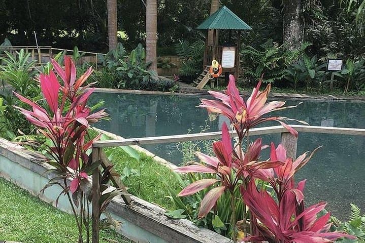 Black River Safari and YS Falls: Private Day Tour from Montego Bay